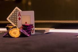 lion7